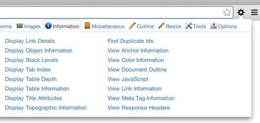 Web Developer menu